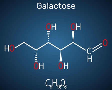 Galactose, D-galactose, milk sugar molecule. Linear form. Structural chemical formula on the dark blue background