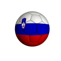 Slovenia football