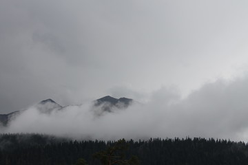 fog in the mountains