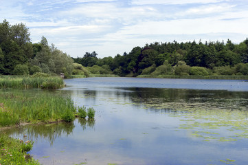 Fototapeta na wymiar Warnham Nature Reserve