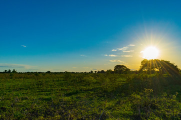 Paisajes de Campo, Chaco Argentino