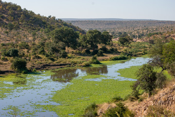 Fototapeta premium Dam landscape lake in Kruger national park