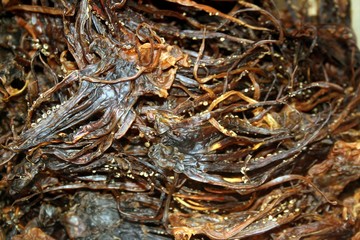 Dried Cuttlefish