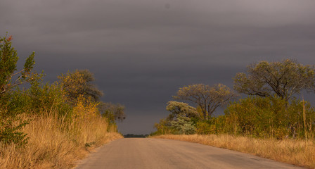 Road into the storm