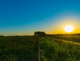 Fototapeta na wymiar Paisajes de Campo, Chaco Argentino