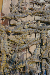 A view of floating village in Siem Reap, Cambodia