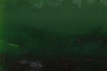 Macro stone Nephrite mineral on white background