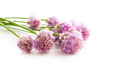 Chives with Flowers