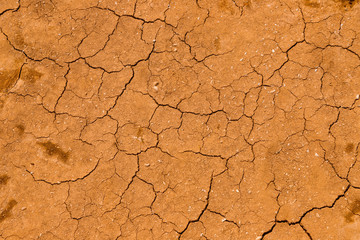 The texture of the dry and dehydrated surface of the earth with cracks close-up