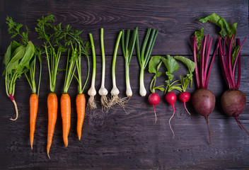 Carrots, beet, radishes, onions, garlic, spinach - root vegetables on a black wooden background....