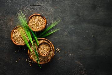 Green Rye on a stone table. Top view. Free space for your text.