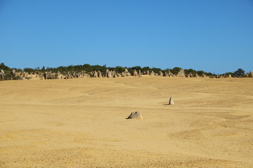 Fototapeta na wymiar Limestone formation at Pinnacles Desert in Western Australia