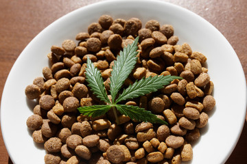 Treats for dogs and cats and green leaves of cannabis - CBD and medical marijuana for pets concept