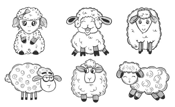 Black and white set with funny sheep