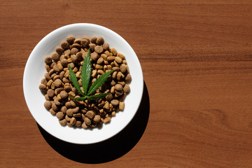 Treats for dogs and cats in white dishes with a green leaf of hemp close up - CBD and medical marijuana for pets. Recreational Marijuana and Hemp