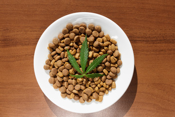 Treats for dogs and cats in white dishes with a green leaf of hemp close up - CBD and medical marijuana for pets. Recreational Marijuana and Hemp