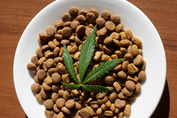 Treats for dogs and cats in white dishes with a green leaf of hemp close up - CBD and medical marijuana for pets. Recreational Marijuana and Hemp