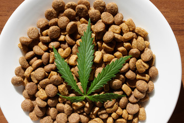 Treats for dogs and cats in white dishes with a green leaf of hemp close up - CBD and medical marijuana for pets. Recreational Marijuana and Hemp