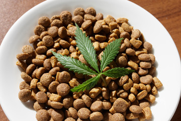 Treats for dogs and cats in white dishes with a green leaf of hemp close up - CBD and medical marijuana for pets. Recreational Marijuana and Hemp
