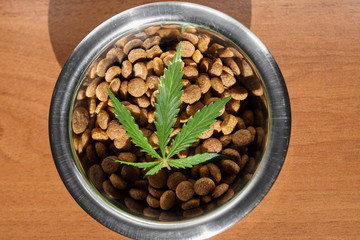 Food treat for dogs and cats in metal utensils with a green leaf of hemp close up - CBD and medical marijuana for pets