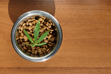 Food treat for dogs and cats in metal utensils with a green leaf of hemp close up - CBD and medical marijuana for pets