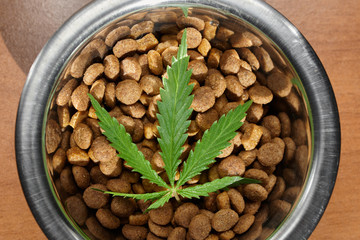 Food delicacy for dogs and cats in dishes with a green leaf of hemp close-up - CBD and medical marijuana for pets