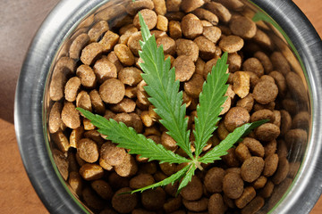 Food delicacy for dogs and cats in dishes with a green leaf of hemp close-up - CBD and medical marijuana for pets
