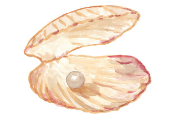 An open shell on the seashore with a wonderful pearl inside. Watercolor hand drawn illustration