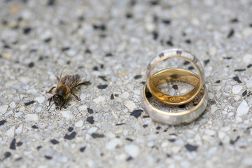 Golden wedding rings on a stone surface