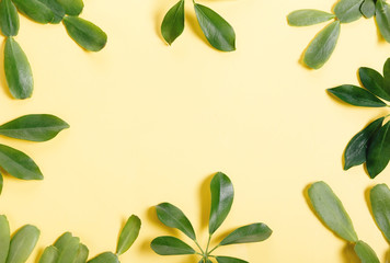 Tropical green leaf frame on yellow background