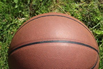 basketball ball on grass