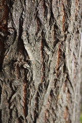  background texture macro