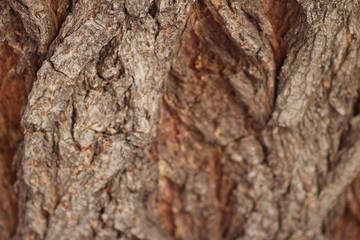  background texture macro