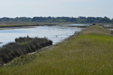 île  d'Oléron