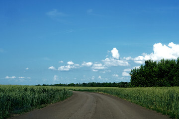 Fototapeta na wymiar landscape, dirt forest road, fields, blue sky