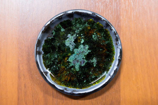 meeting potters. training courses for novice ceramists. reportage. ceramic example of clay saucer with melted colored glass. firing at 1200 degrees Celsius.