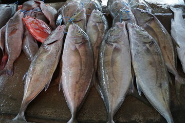 fisch auf dem markt in afrika