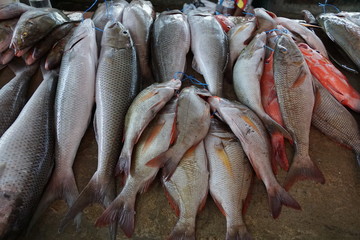 fisch auf dem markt in afrika