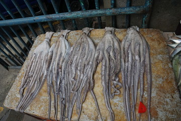 fisch auf dem markt in afrika