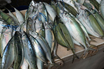 fisch auf dem markt in afrika