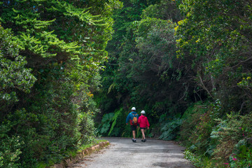 Obraz premium Exploradores