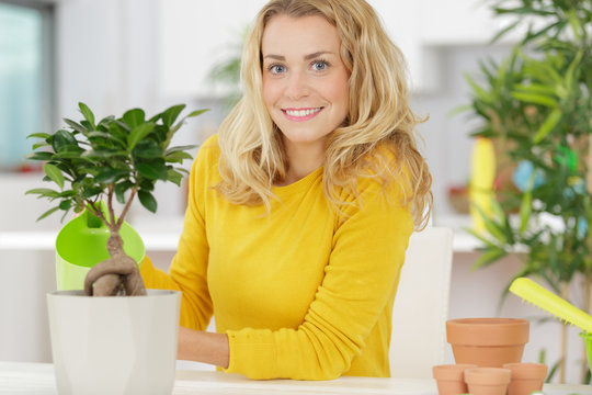 woman taking care of the bonsai