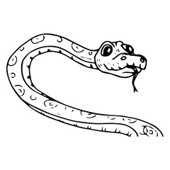 Snake icon. Vector illustration of a cute snake with his tongue hanging out. Hand drawn cartoon snake python.