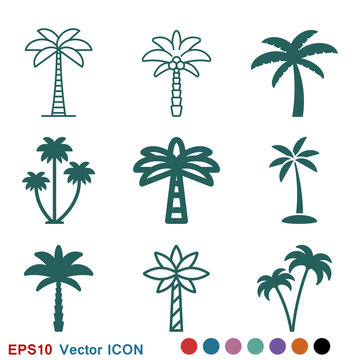 Coconut trees Icon vector sign symbol for design