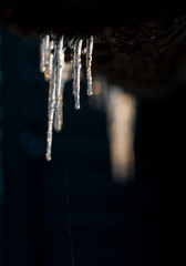 Winter the Netherlands. Icicle