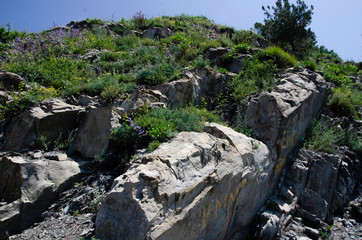 Texture and background stones. Stone texture - Image