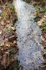 Frozen water puddle in autumn forest
