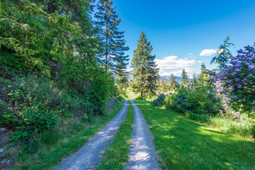 Mountain road in British Columbia, Canada.