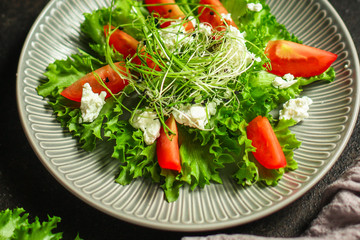 salad vegetable - tomato, lettuce, cheese, microgreen and salad dressing. food background. top
