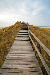 Obraz premium Wooden path with stairs or boardwalk leading through dunes to the top of a hill.